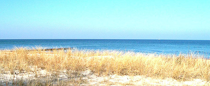 Kühlungsborn, die „Grüne Stadt am Meer“, ist nicht nur das größte Ostseebad Mecklenburgs, es zählt zweifelsohne auch zu den schönsten an der gesamten Ostseeküste. 